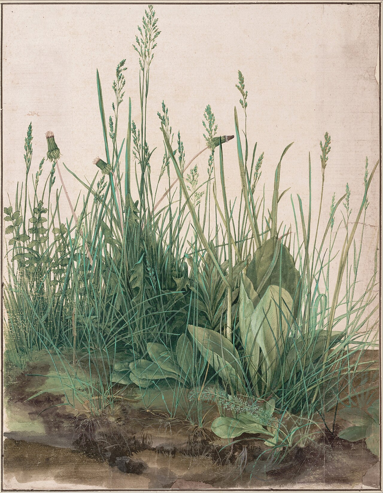 Great Piece of Turf