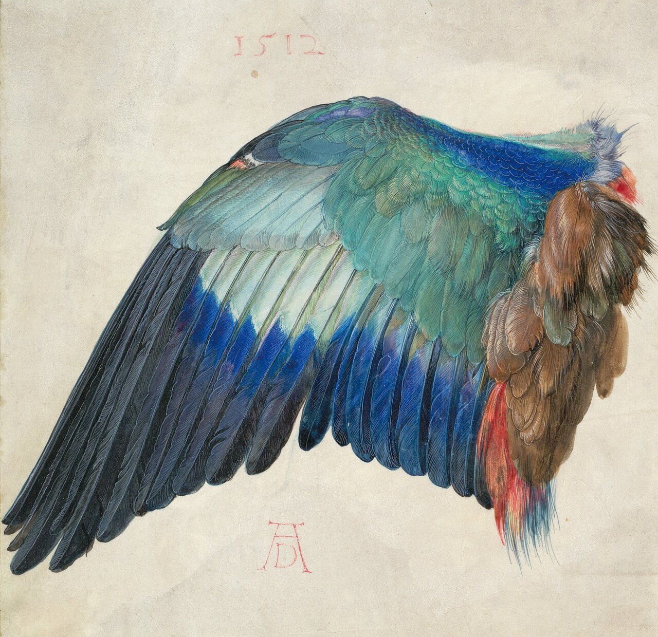 Wing of a European Roller