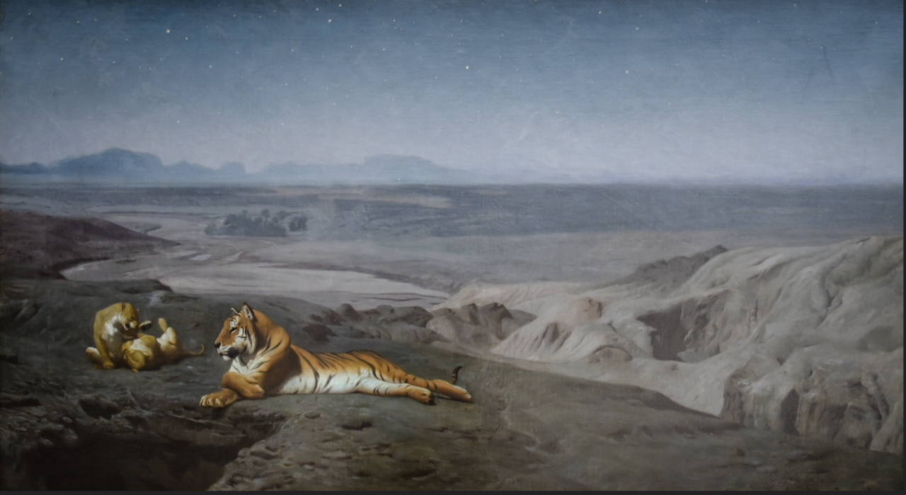 Night in the Desert