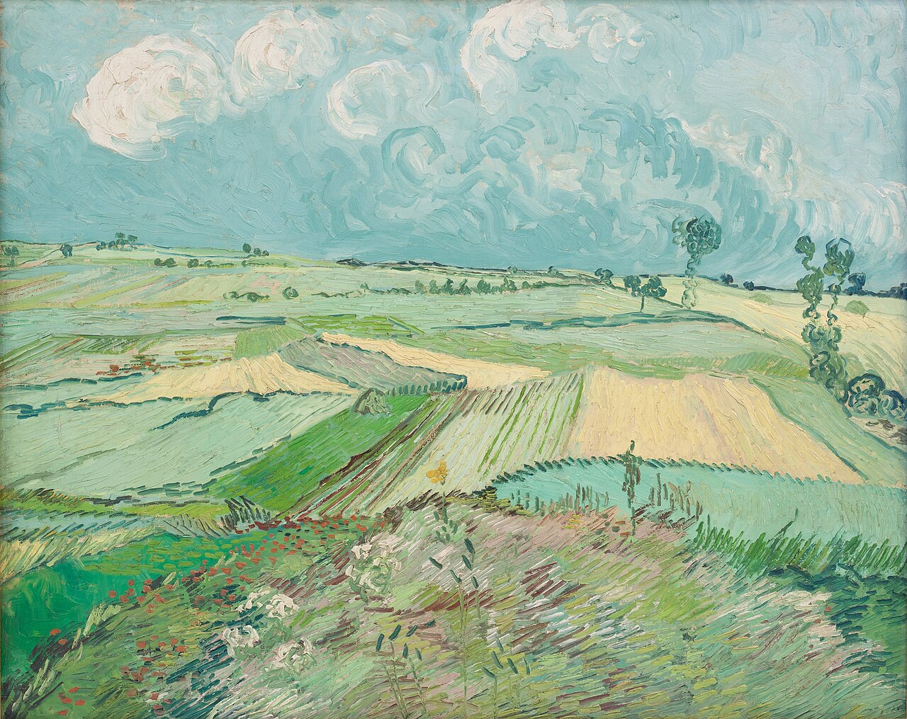 Wheat Fields after the Rain