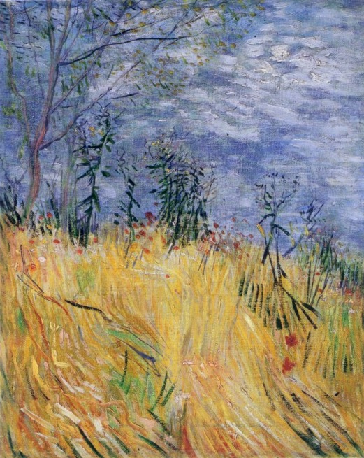 Edge of a wheat field with poppies