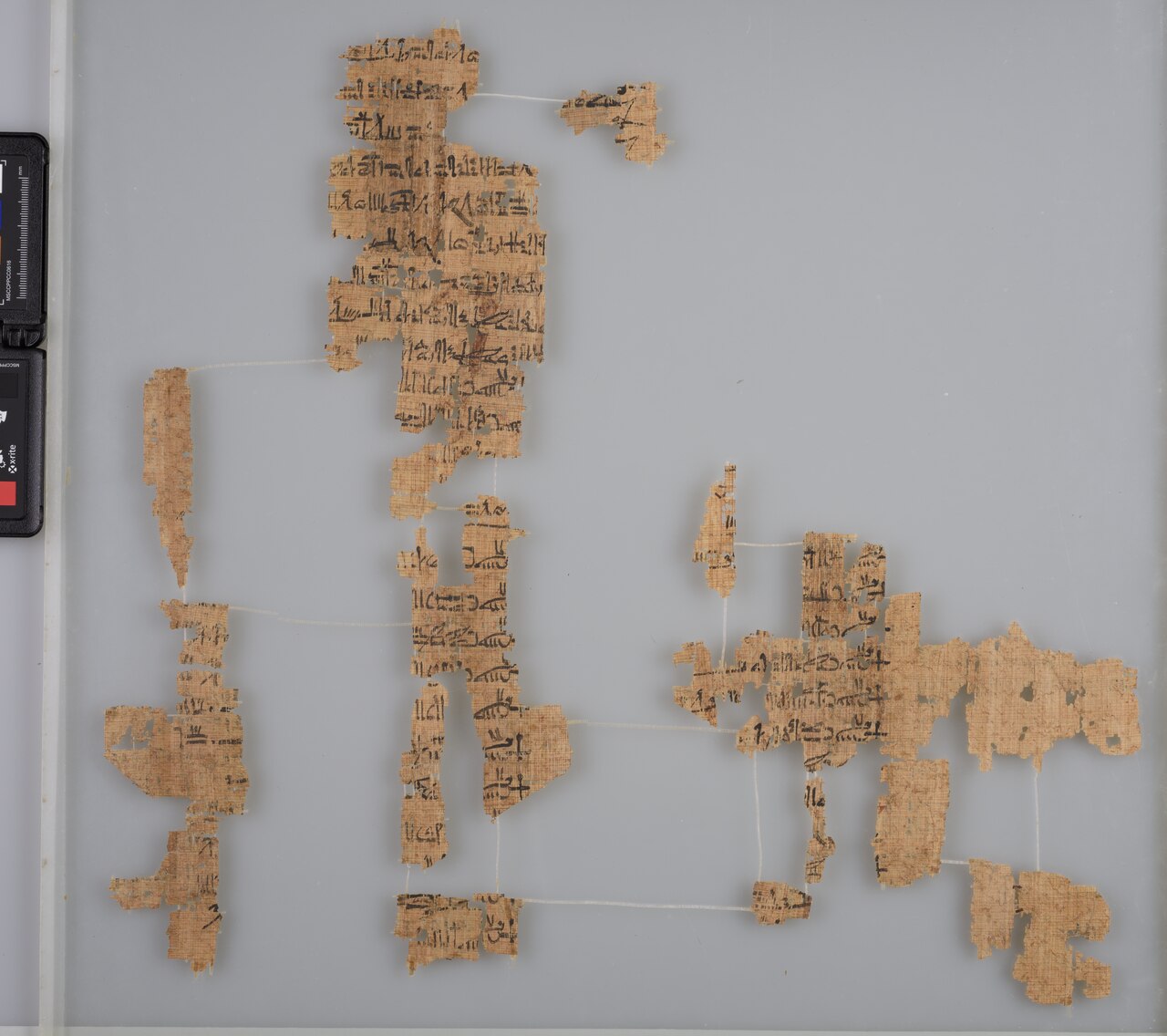 Museo Egizio