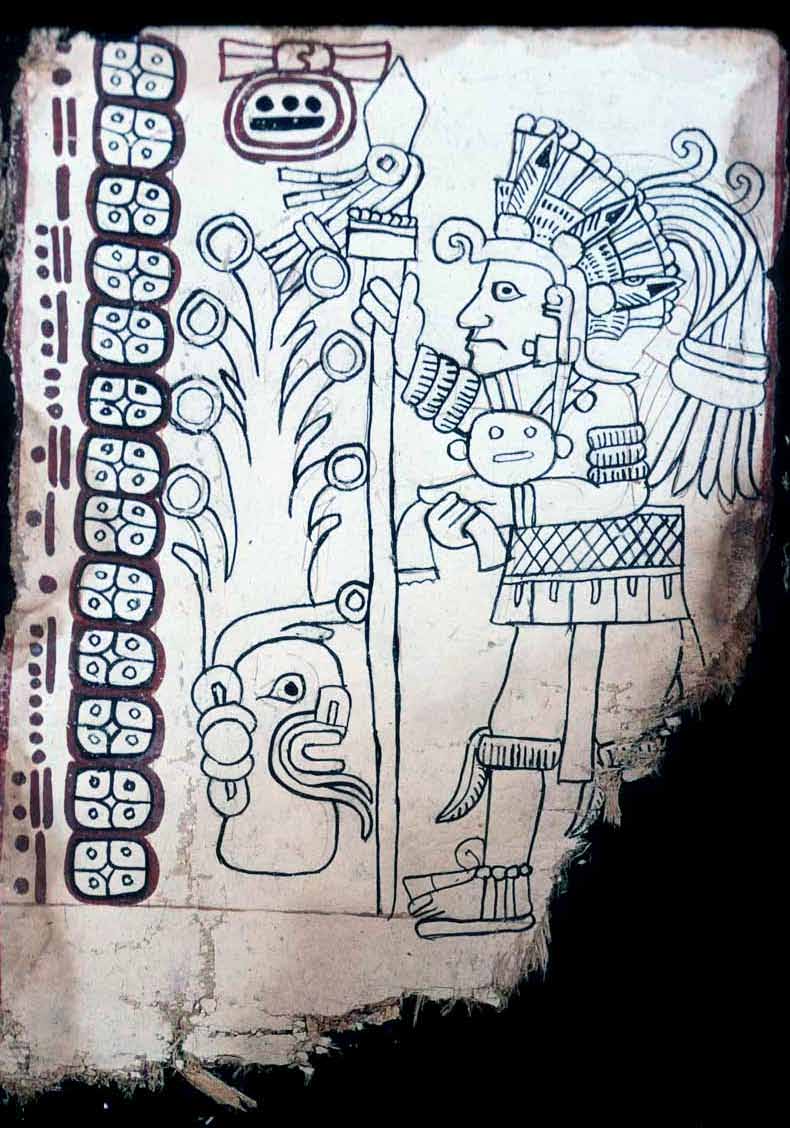 Maya Codex of Mexico