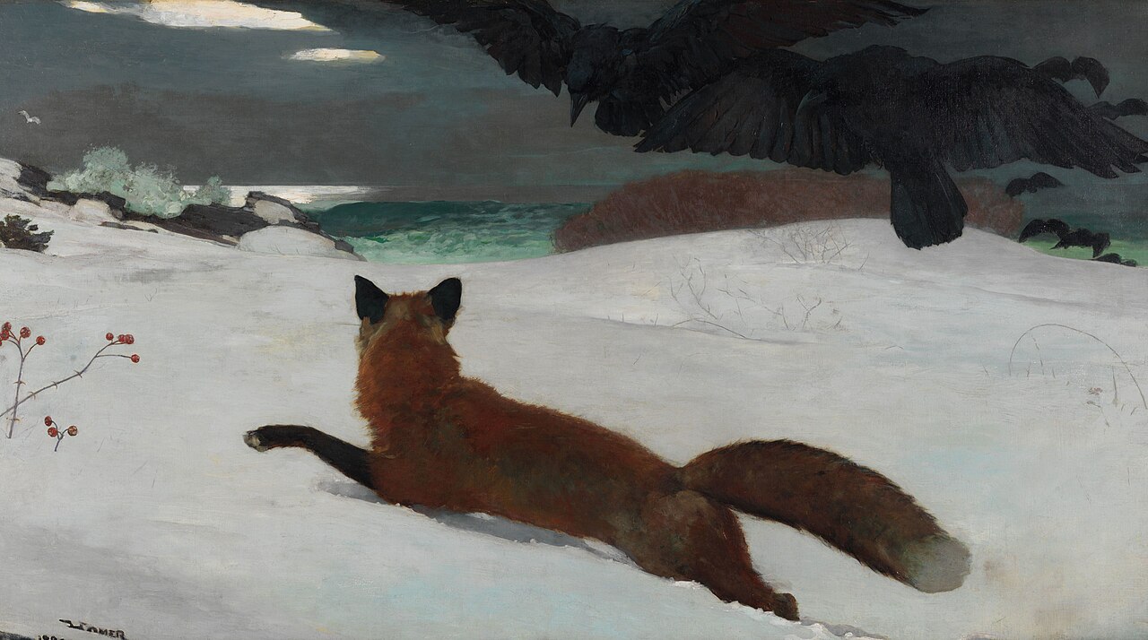 Fox Hunt